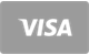 Visa card payment method accepted at FoxyGold Casino